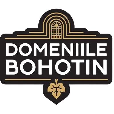 Domeniile Bohotin